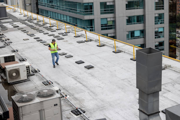 Best Metal Roofing Installation  in Orlovista, FL